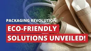 Eco-Friendly Packaging Solutions | The World's Leading Sustainable Logistics Network