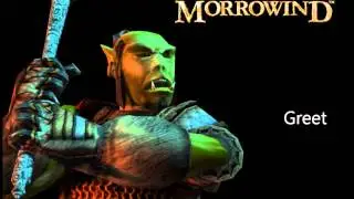 Morrowind Male Orc Responses