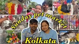 Sunday Pet Market at Tala Railway Station Amazing Pets & Cute Animals || Pet Lovers Paradise