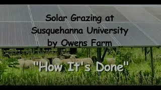 Solar Grazing at Susquehanna University by Owens Farm: How It's Done