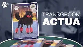 Catalog 2021 | Transgroom Actua - TRANSGROOM