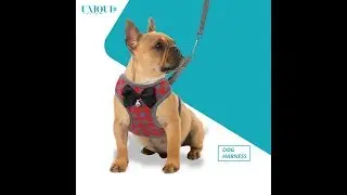 Stylish Soft Adjustable Harness and Leash Set with Bow Tie For Puppy Dogs and Cats