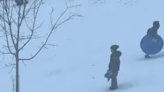 Sled Riding at Mill Creek Park, Youngstown/OH, 1/2/26