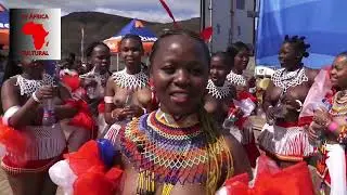 Reed Dance Tribe Zulu