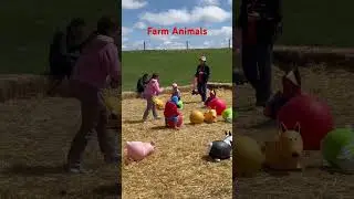 Fun at the petting zoo. Farm day at cobbs adventure park #calgary #cute