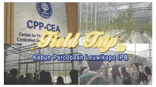 Kegiatan Field Trip ke Kebun Percobaan Leuwikopo IPB | Pertanian Inovatif | Kelas ST03 | Kelompok 18