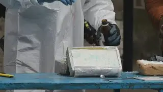 Ecuador destruye m&aacute;s de 16 toneladas de coca&iacute;na | AFP