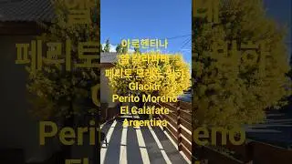 아르헨티나 엘 칼라파테 페리토 모레노 빙하 Glaciar Perito Moreno El Calafate Argentina