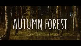 Canon Eos M Magic Lantern Raw 2.8k 1:1 10 bit | Autumn Forest | Mir-11m
