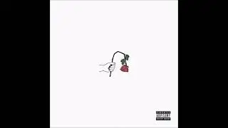 Phora - 
