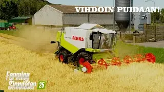 PUINNIT ALKAA!