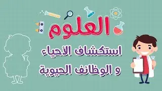 العلوم | استكشاف الأحياء و الوظائف الحيوية (الجزء الأول)