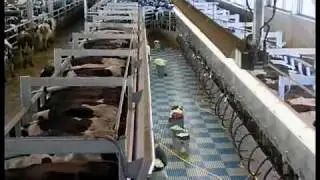 DeLaval large herd dairy management part 2