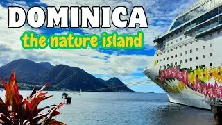 The most beautiful impressions of Dominica - Island tour - Titou Gorge, hot springs, panoramic drive
