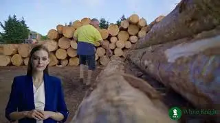 FSC Certified Wood Deals: White Knight Consulting Has You Covered