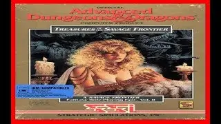 Treasures of the Savage Frontier 1992 PC