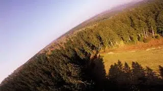 Cinematic FPV Lower Saxony, Germany - Deister Forest