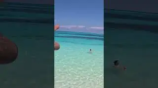 🐠 Snorkel en la Playa del Riu Palace Las Am&eacute;ricas: Descubriendo su Fauna Marina #travel #beach