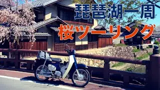 スーパーカブ110(JA44)で桜ツーリング琵琶湖一周350km！[建部大社/近江八幡/日牟禮八幡宮/長浜八幡宮/茶しん]
