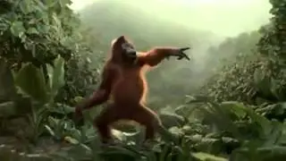 Video engrasado(13)