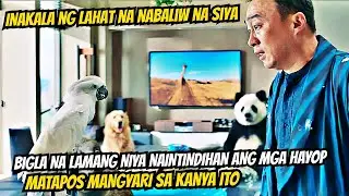 AKSIDENTE SIYANG NAGKAROON NG KAKAYAHANG MAINTINDIHAN ANG MGA HAYOP | Tagalog movie recap