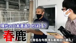 【日本酒】奈良県の人気地酒『春鹿』に酒蔵見学！日本酒はどんな流れで作られる？