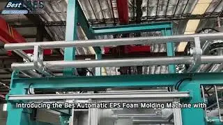 Eps Manufacturing Equipment Styrofoam Shape Moulding Machine Vacuum Forming Fish Fruit Vegetable Box
