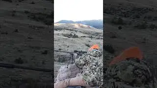 820 yard smack down ! 300 ultra mag