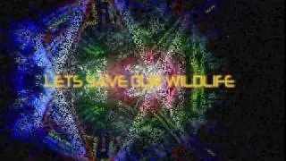 Oil Spill! Help Save Wildlife in the Gulf of Mexico