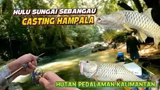 Berpetualang Ke Hulu Sungai Kalimantan Ahh Mantap Strak Hampala Maser