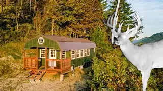Wooded Hunting Property And Off-Grid Cabin For Sale (Crawford Co, WI)