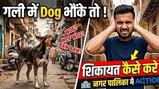 🐶 कुत्तों की शिकायत कैसे करें 2025 | street dogs - how to complaint dogs | MCD Dogs कै catcher | 311