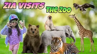 Zia goes to Bristol Zoo Project !