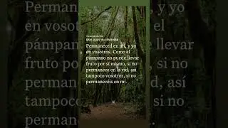 👑JESUCRISTO REY DE REYES Y SE&Ntilde;OR DE SE&Ntilde;ORES👑S. JUAN 15: 4.  📖🕊️🙌🏻✨