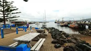 Eden Holiday Fishing Destination in New South Wales