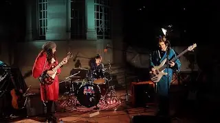 P&aacute;jaros inm&oacute;viles - Superpiba