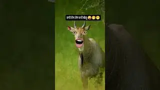 30 January 2026  #shortvideo #shorts #short #funny #funnyshorts #fyp #kids #fypシ #shortsviral #fun