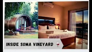 Soma Vineyard Resort Nashik | Complete Tour