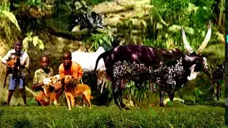 naturenetschool chapter 9B, environmental conservation potentials and challenges video 4 of 4