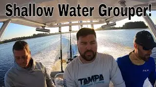 Tarpon Springs Offshore Gag Grouper Fishing