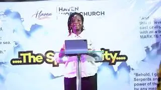 THE ANGELIC MINISTRY (3)