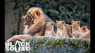 Black Squad - (COBRA) Competitive Gameplay  // Playing with all LIONS