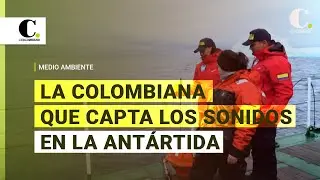 Andrea Bonilla, la bi&oacute;loga colombiana que capta los sonidos en la Ant&aacute;rtida | El Colombiano