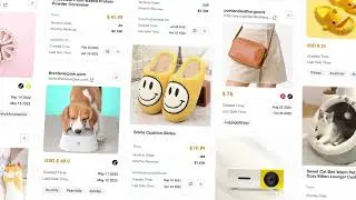 PPSPY 2.0: Track Winning Product 10x Profitable with AI