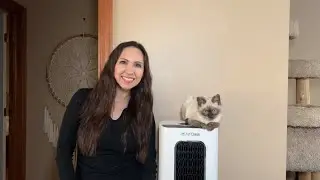 HONEST REVIEW - iAdapt 2.0 Pro - AirOasis Air Purifier for our home!
