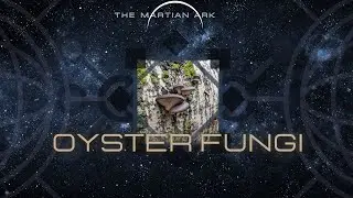 METAL MAGNET POLLUTANT MUSHER | OYSTER MUSHROOM | Pleurotus ostreatus