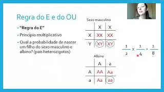 Probabilidade genética - Prof. Gabi Biologia