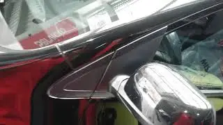 Polichado