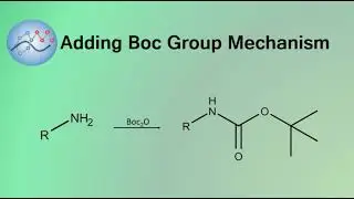 Adding Boc Group Mechanism | Organic Chemistry