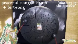 Morning in the Meadow ༄ | Peaceful Tongue Drum + Birdsong Ambience | TOFIE